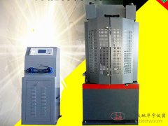 廠家直供 WE-1000B六立柱數(shù)顯萬(wàn)能材料試驗(yàn)機(jī) 201
